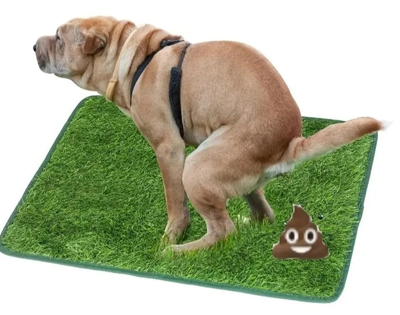TAPETE HIGIÊNICO PARA PET DE APARTAMENTO.