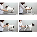 ESCOVA DE MASSAGEM PARA CÃES E GATOS, LAVAGEM E ESCOVAÇÃO.