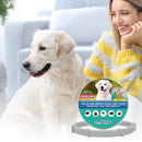 COLEIRA ANTI PULGAS PARA PETS.